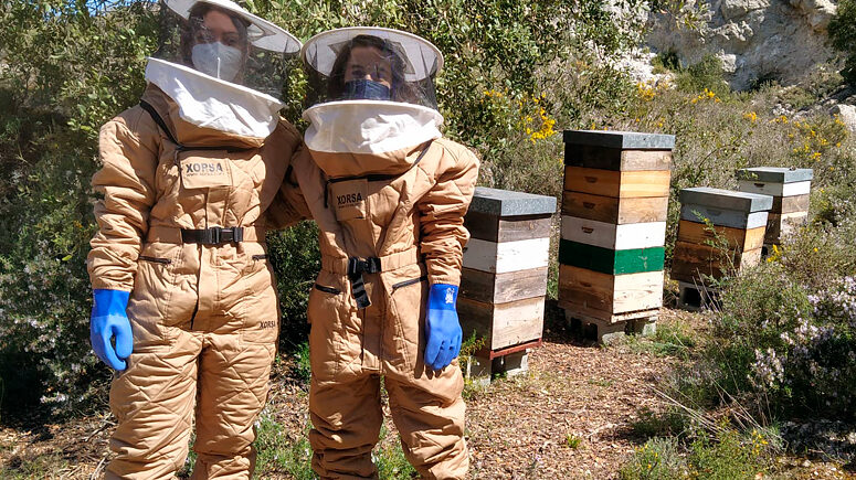 BeeGuards proiektuak 6 milioi euro jasoko dauz EBtik