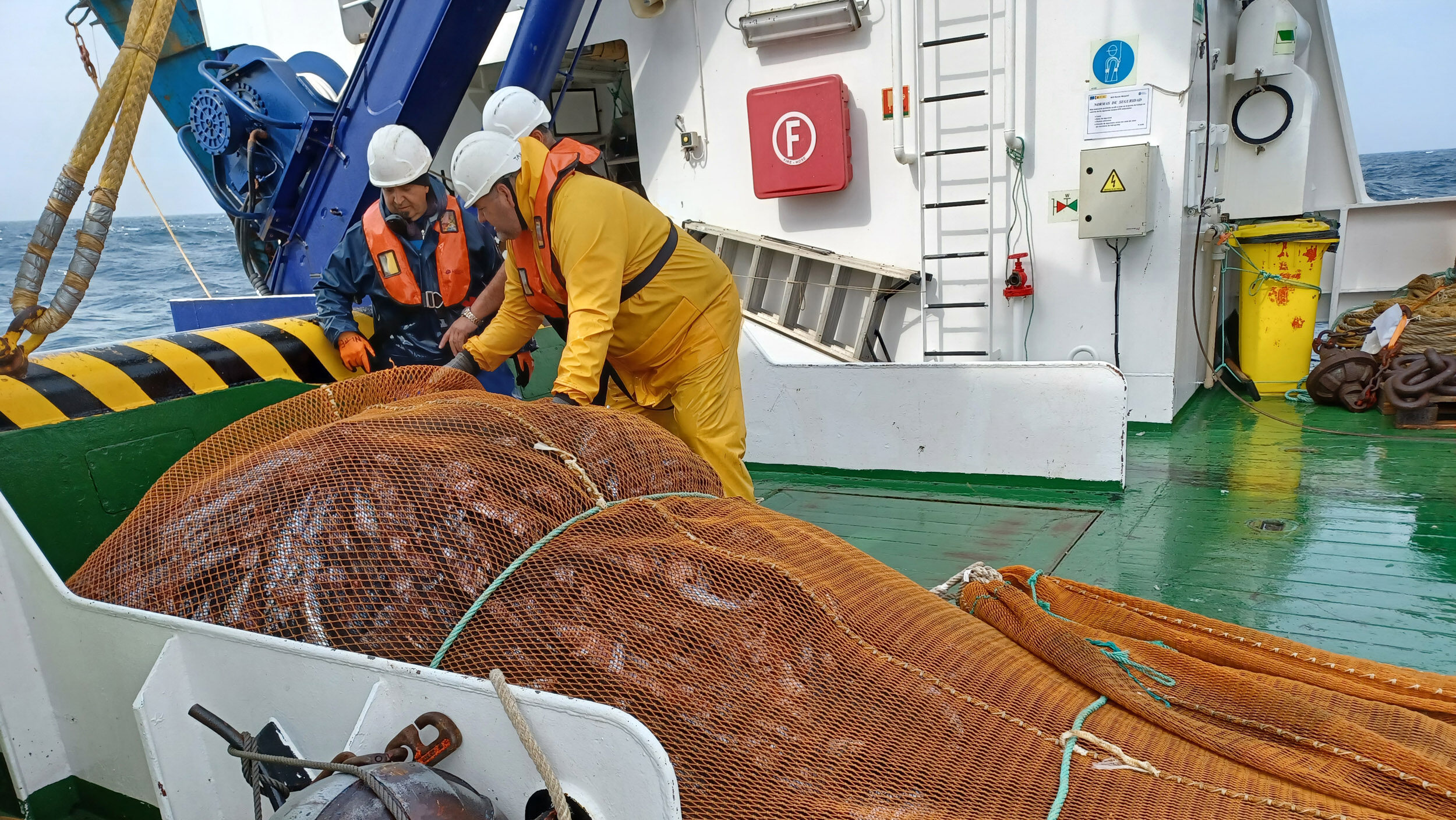 Txitxarroa eta berdela, uraren berotzeari aurre egiten deutsen arrainak