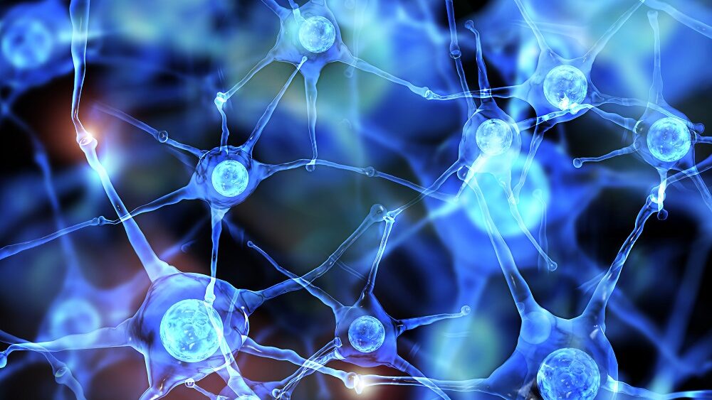 Alboko esklerosi amiotrofikoan heriotza neuronala murrizteko estrategia terapeutiko barria