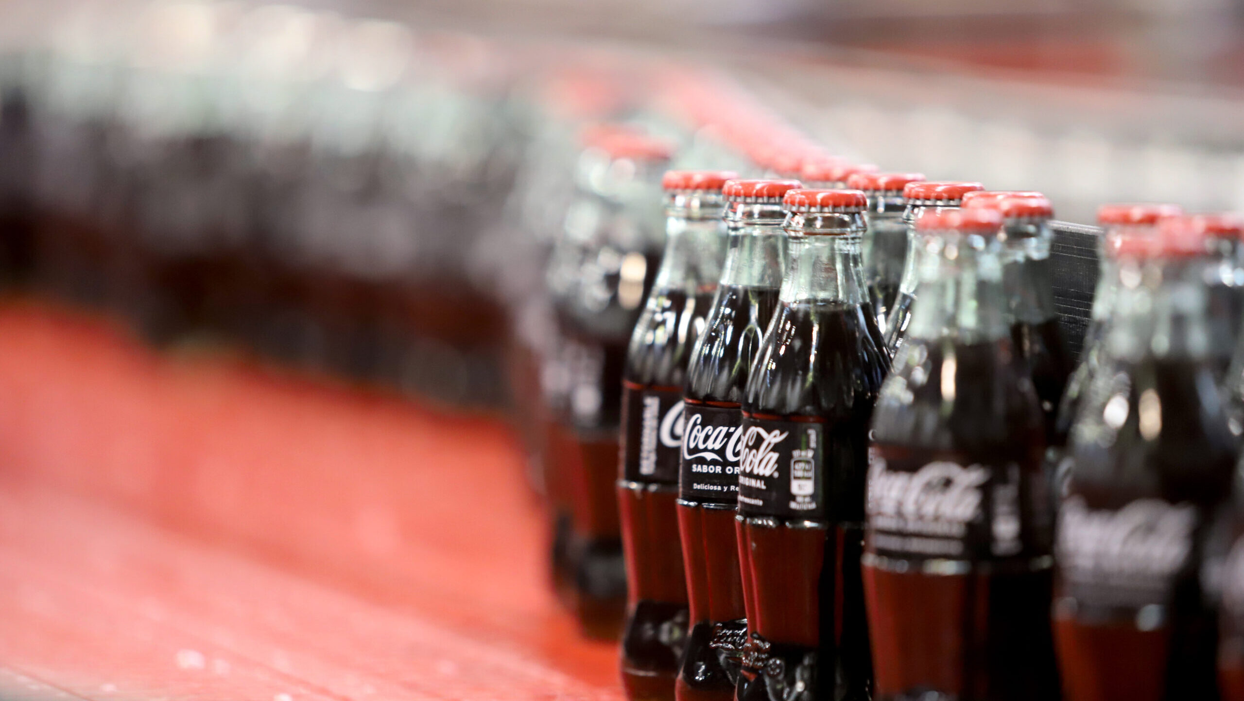 255 milioi euroko balio erantsia eragin dau Coca Colak Euskadin
