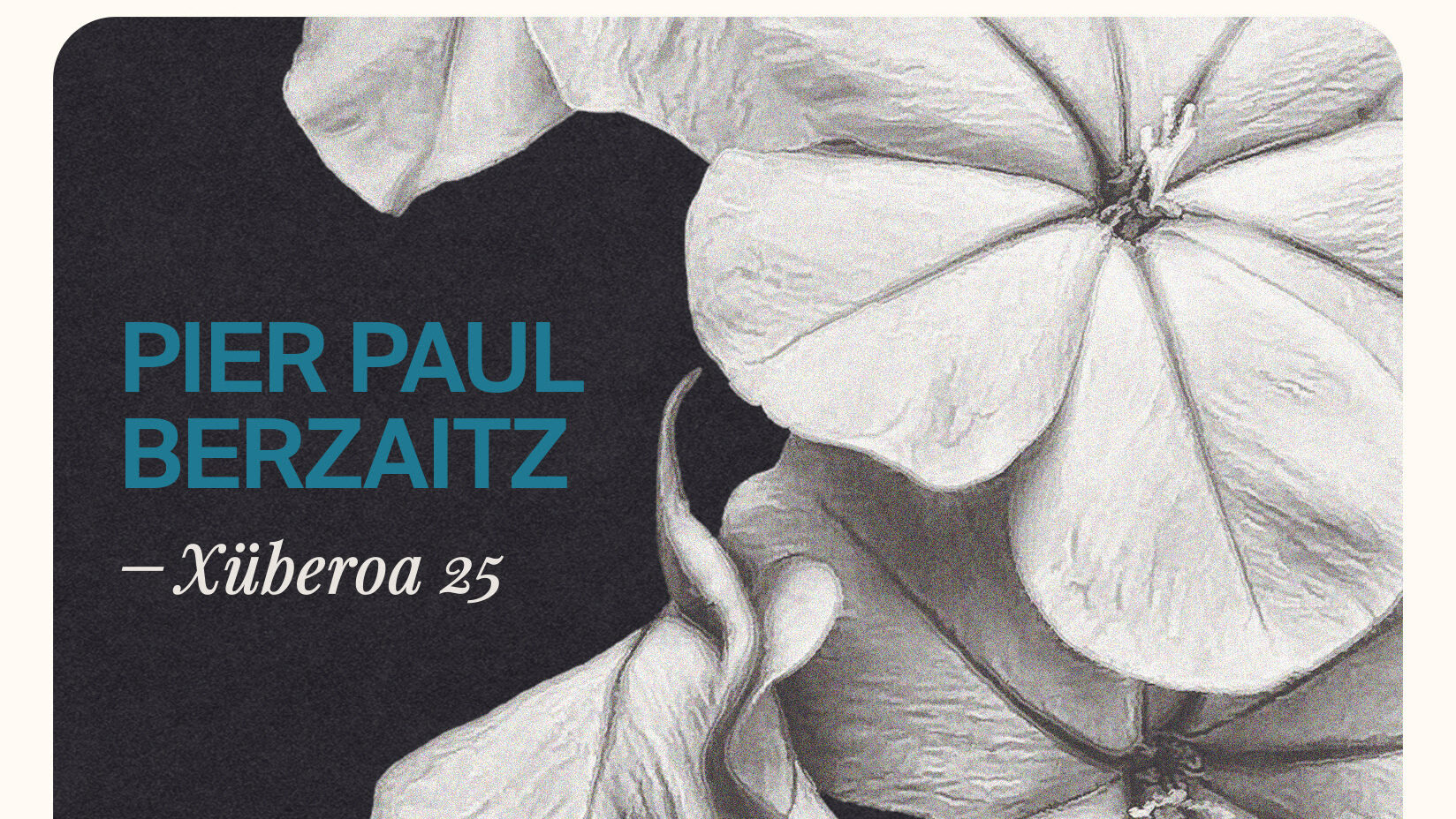 ‘Xüberoa 25’, Zuberoari errotik lotzeko